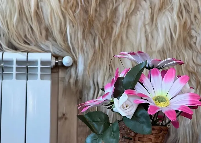 Granat Gondola Next To Lift